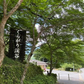 野菜売り場はお休み🥬残念😢