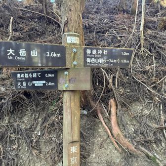 大岳山、御嶽山間もけっこうな距離でした💦