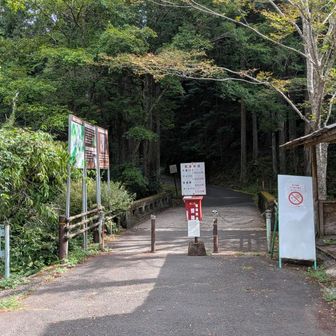 駐車場３００円
小銭が無くて、通りすがりの人に両替してもらいました😅