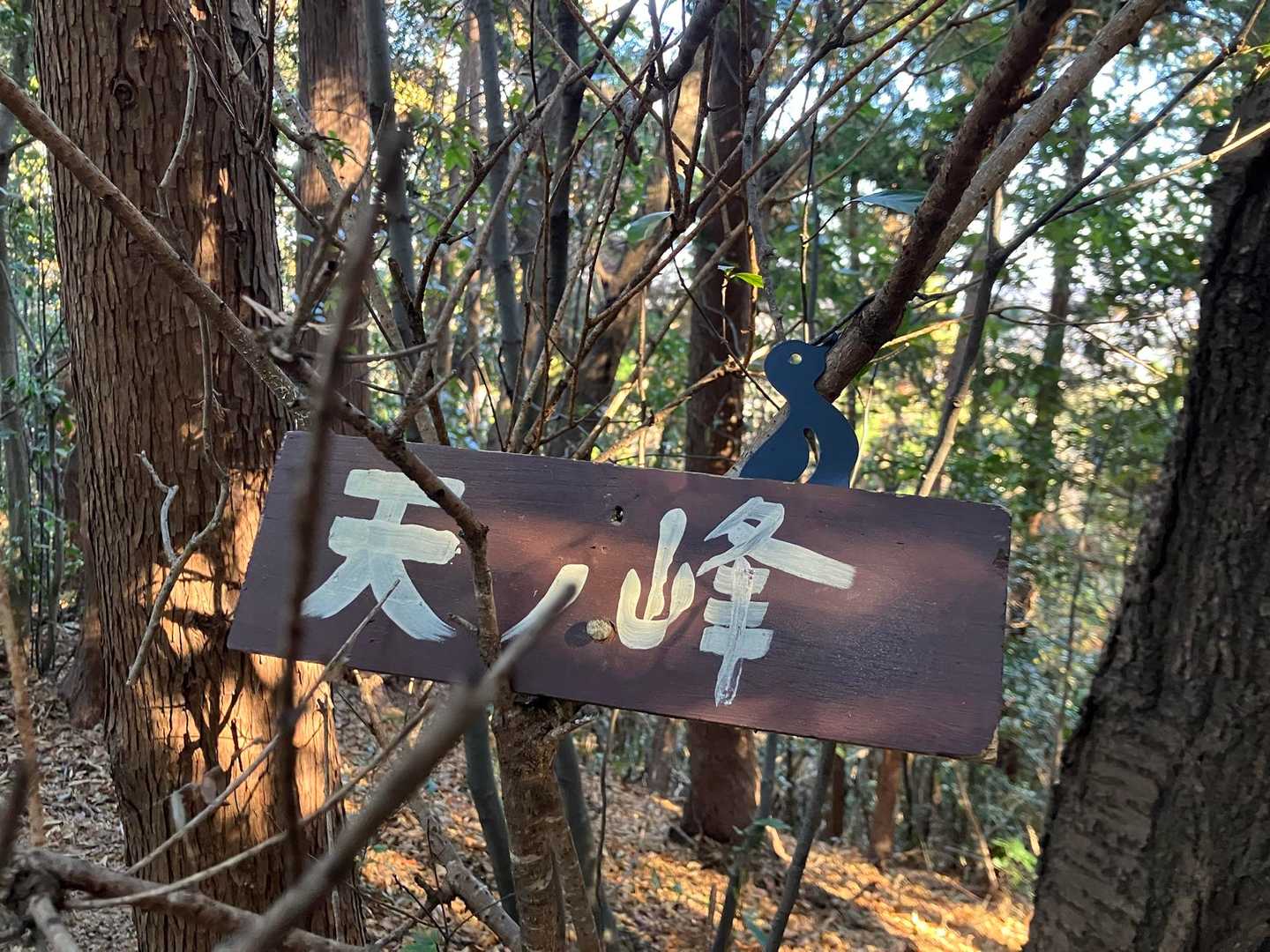 5山目 天ノ峰  ここも鳥