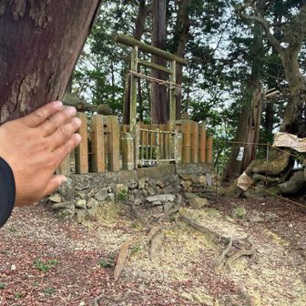 おはようございますついたよーのタッチ✋