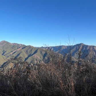 大岳山・御前山が良く見えました✨
