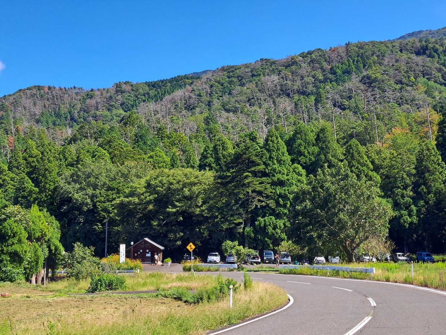 帰ってきた～
車いっぱい🚕🚗🏎️🚓🚒

おしまい❗