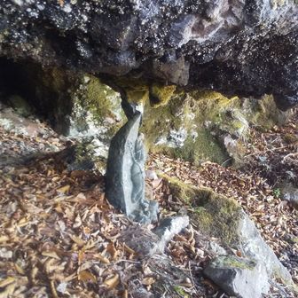 きじとーらなな