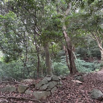 立花山に向かいます。
