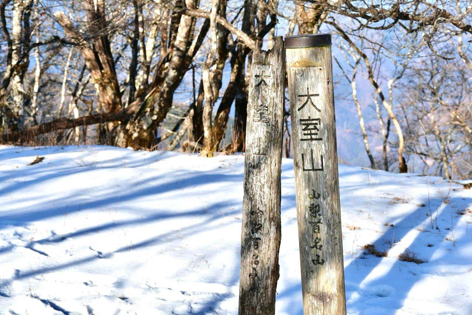 大室山に登頂！