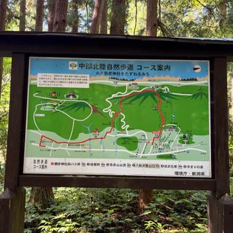 案内板ですね〜✨✨