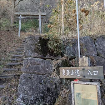 東登山口まで下りて来ました!
見所満載の嵩山
何度来てもワクワク楽しんで来ました💝💃👏