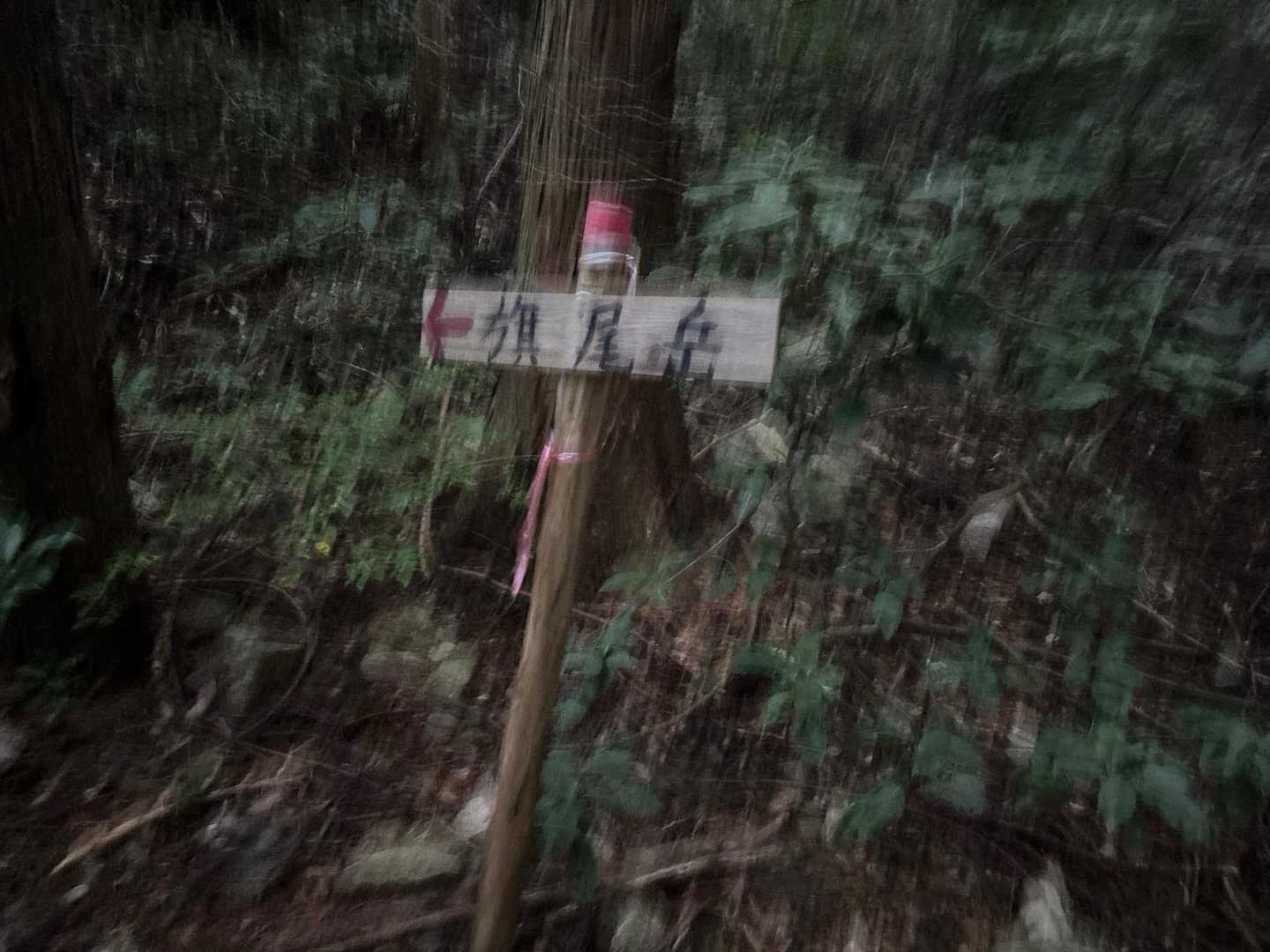 天見駅-旗尾岳-府庁山-府庁山最高点-田山-クヌギ峠-クヌ 縦走コースの写真