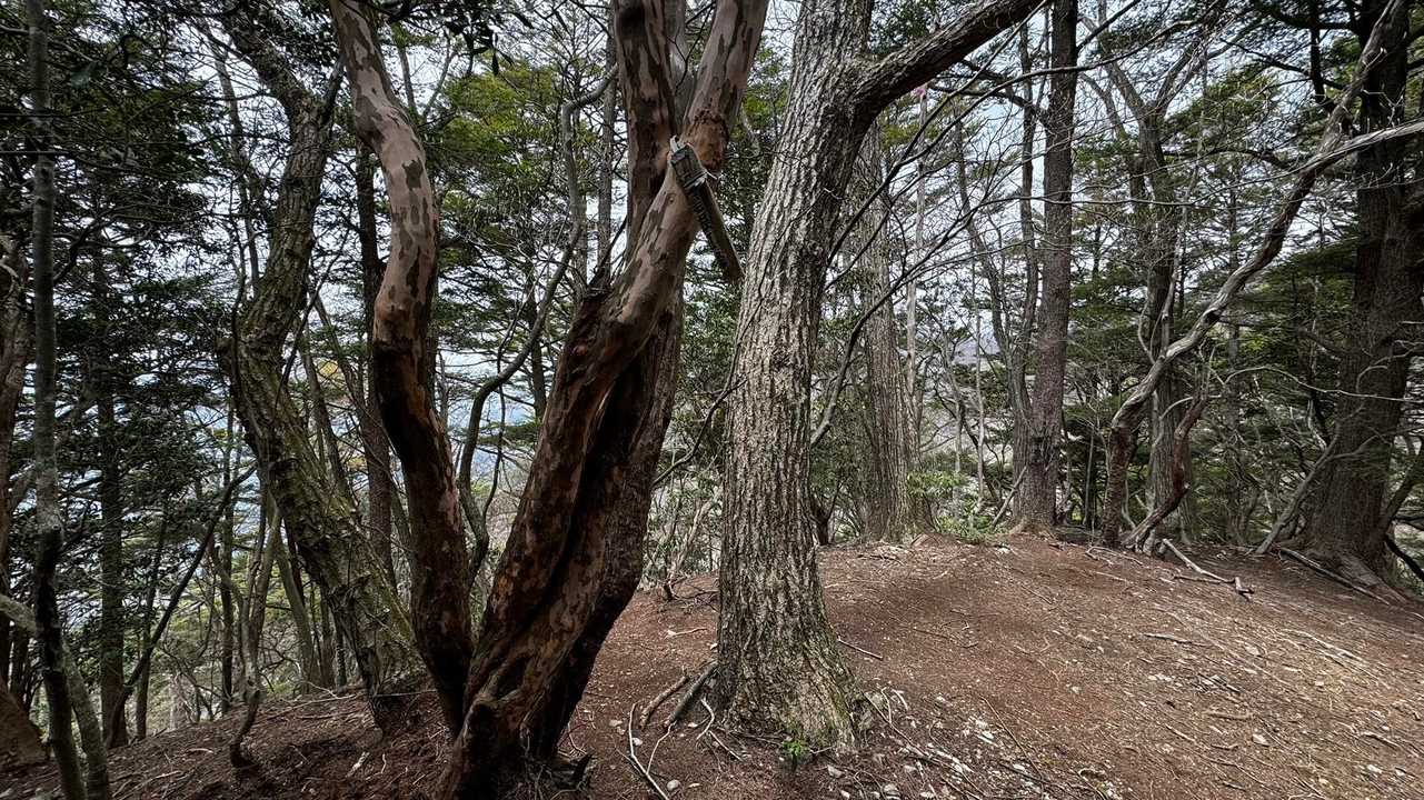 梶尾根Ⅱ峰