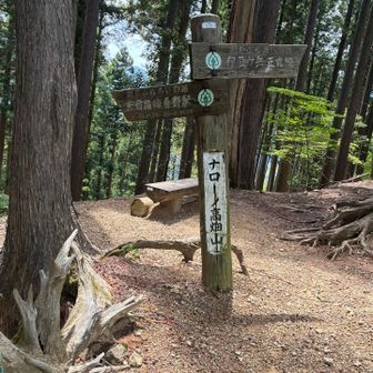 ナローノ高畑山…アパートの名前みたい😅