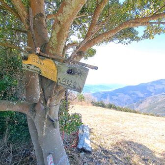 ピーク、遠くに雪を残した矢筈山