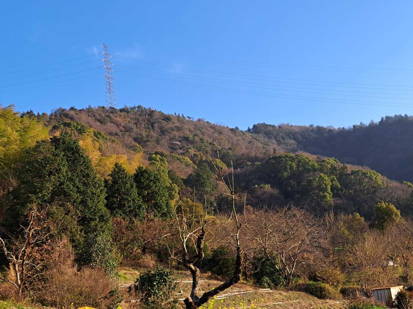 山頂はどこでしょう？　
