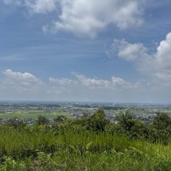 万灯山展望台⛰️
良い景色です♪
ただ、今日は暑い🥵
ベンチに座ってカロリーメイトを食べました！