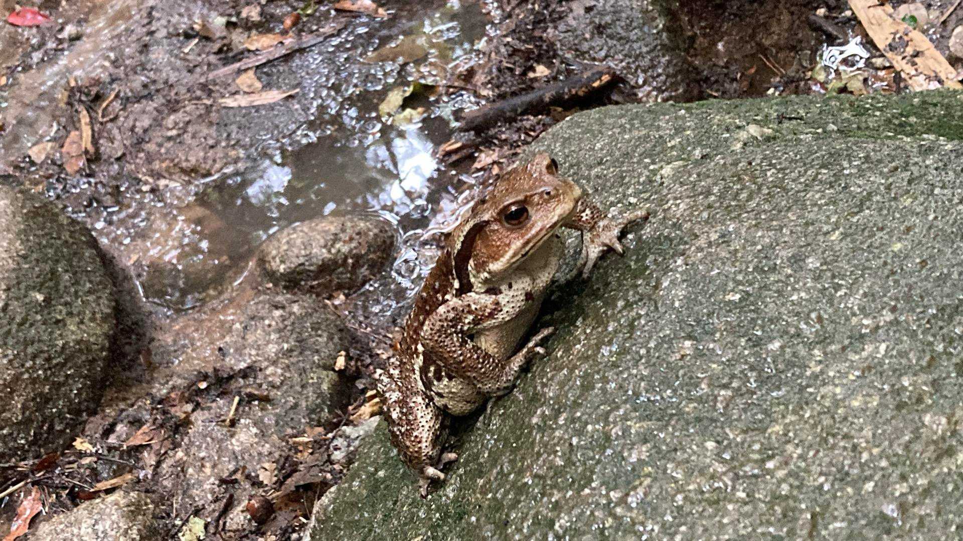 こんにちは！