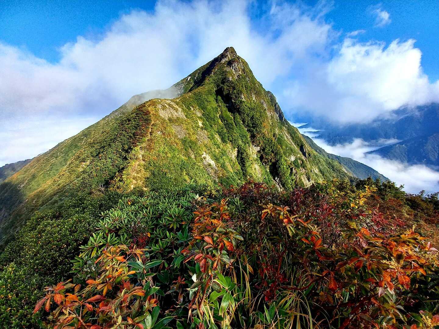 大源太山の写真