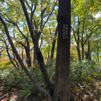 逆光だな、ヲイ・・・