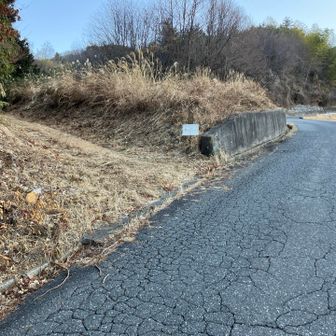 ここを左に入って行きました。