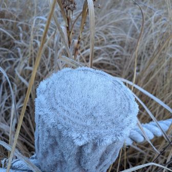 凍ってる！
モフモフしてて、可愛い❤