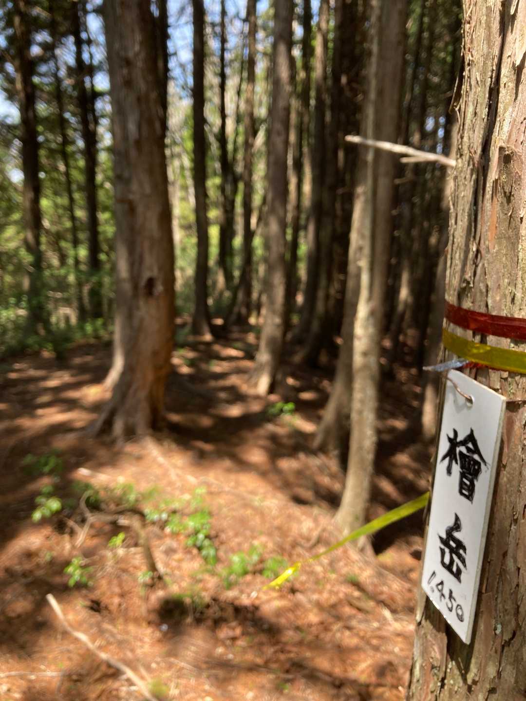 檜岳
この辺りで引き返すか迷ったけど、すれ違った方から「あと少しだよ」と聞いて、最後まで行くことに💪