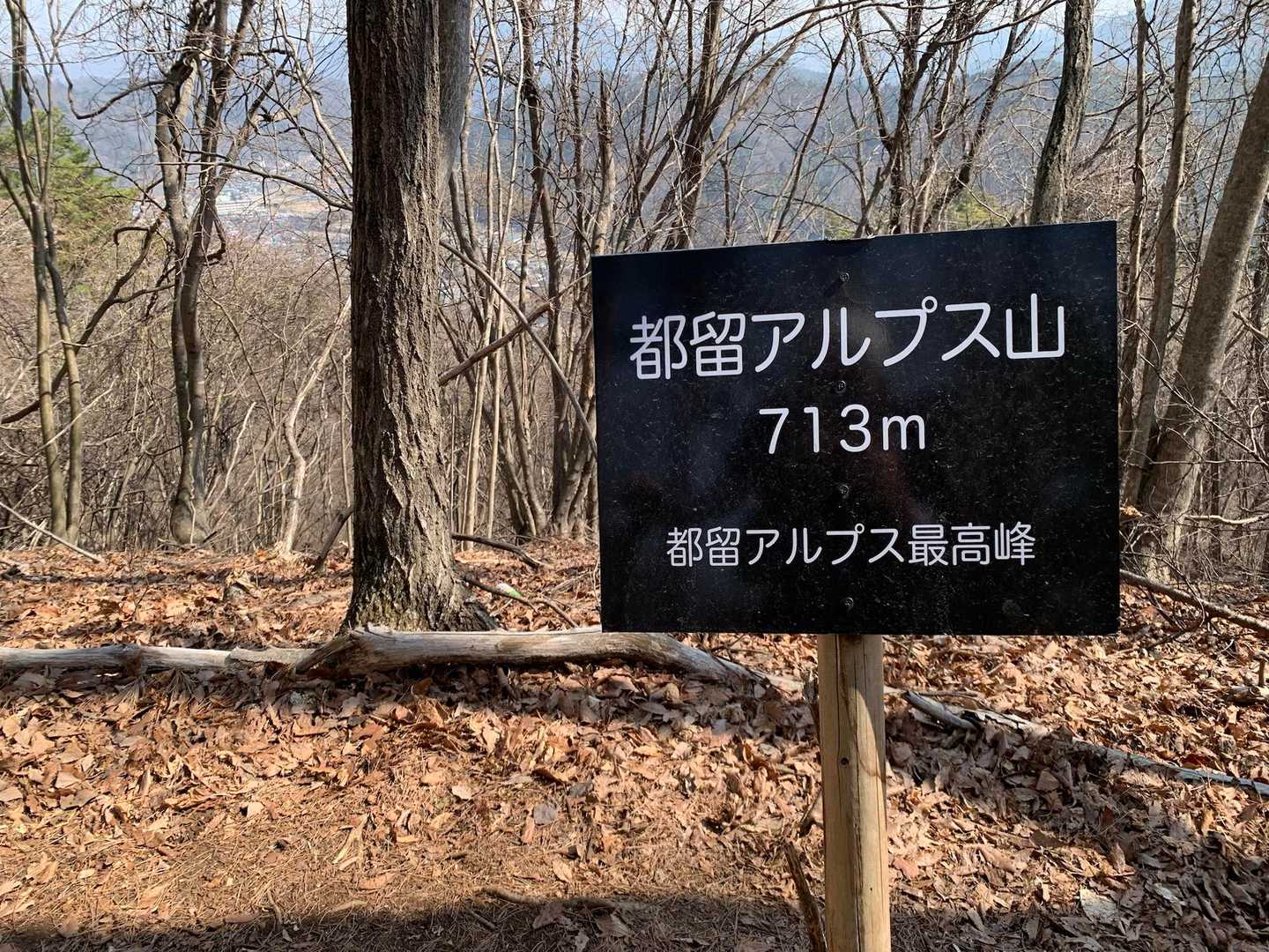 都留アルプス山って山があるんだ！