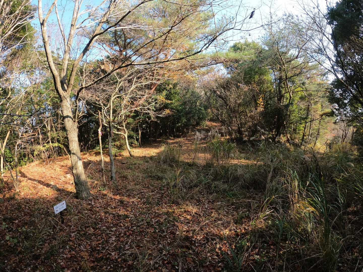 山頂や夫婦岩に行ける三叉路
「まずは山頂を目指す🏃」