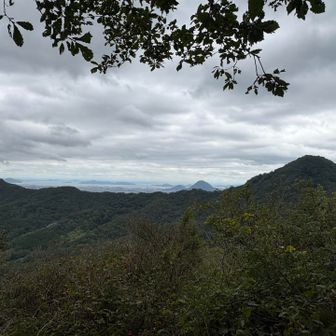 城山、こねこ山、猫山は
山行を始めて間もない頃に登りました
奥にちょこんと讃岐富士とその奥に角山