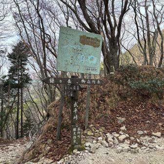 今日は右に行きます