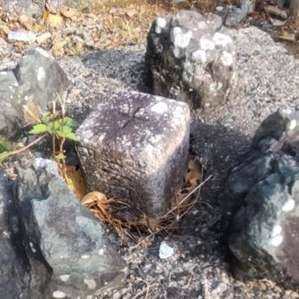 高樹山（47m）　
やっと見つけた三角点