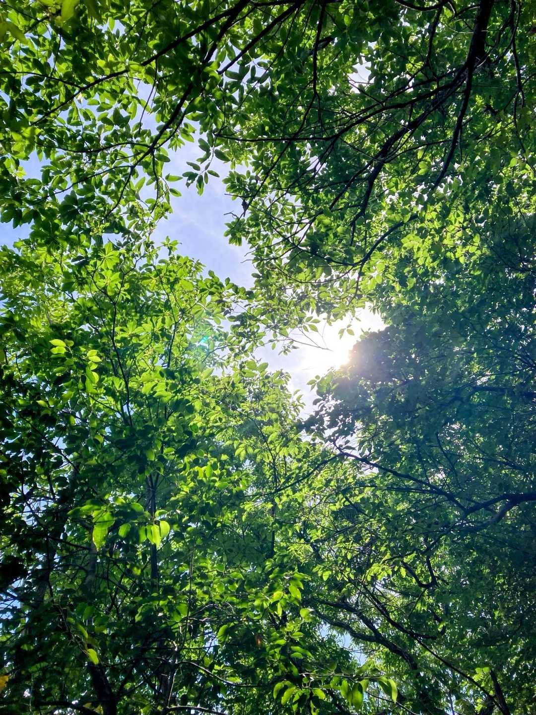 やはり北近畿は天気予報通り晴れ☀ました
遠かったけど、よかったです😘