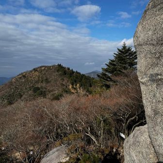 仙ヶ岳西峰が見えます。