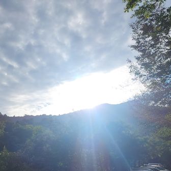 朝日
