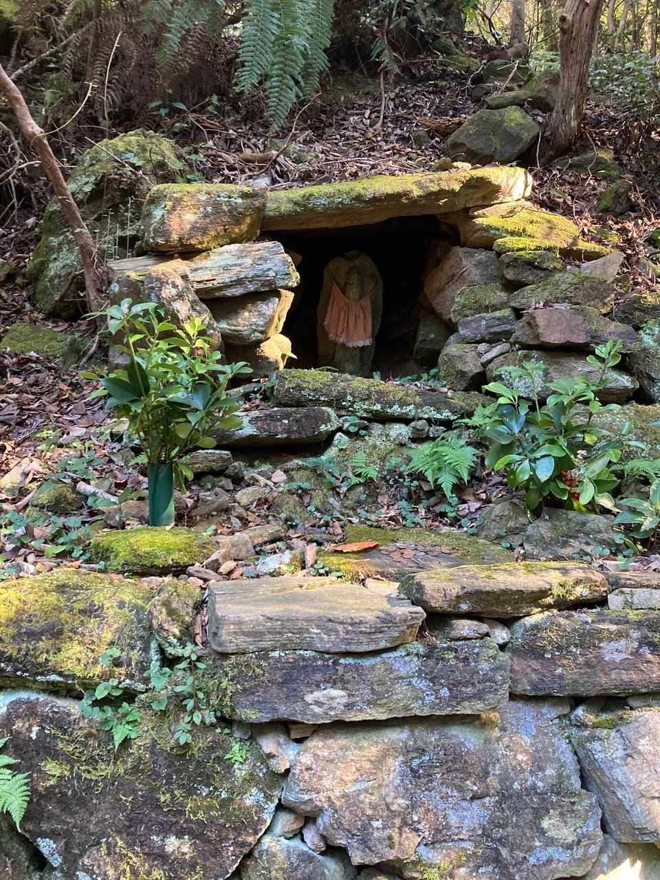 桑谷山 往復コースの写真