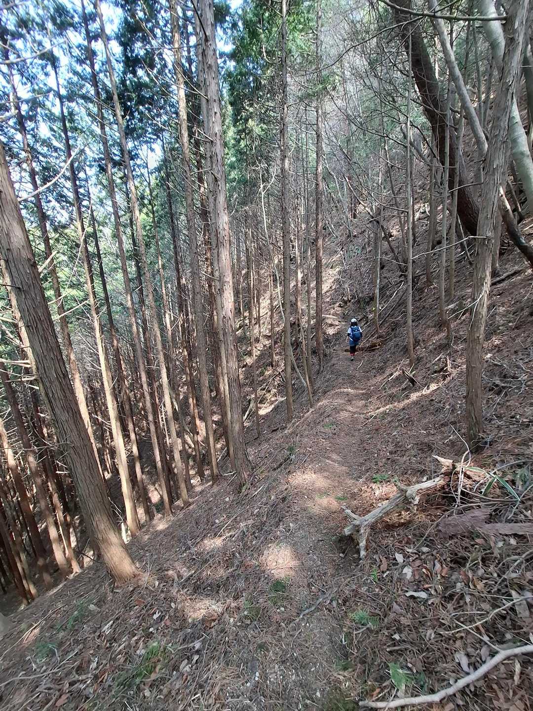 大保山に向かいます！