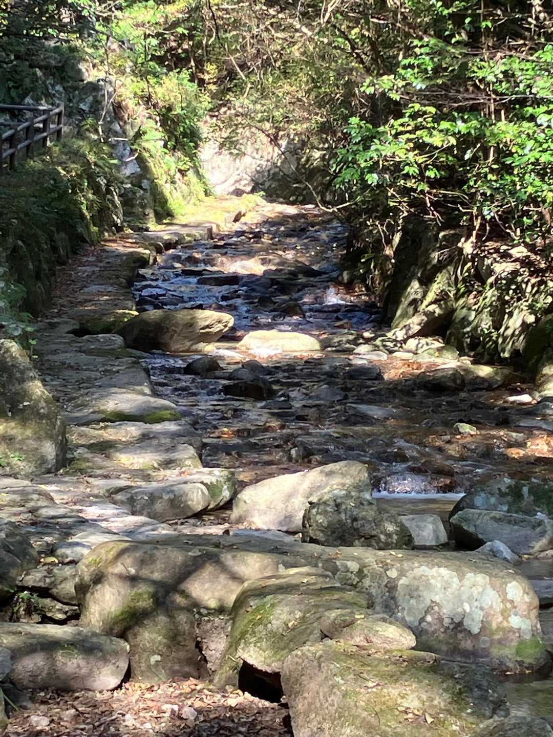 整備されてますね。