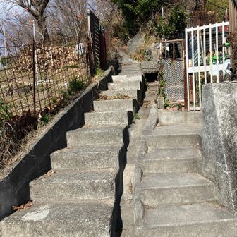 ここから登山道
