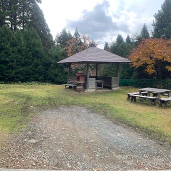 キャンプできそうでした。