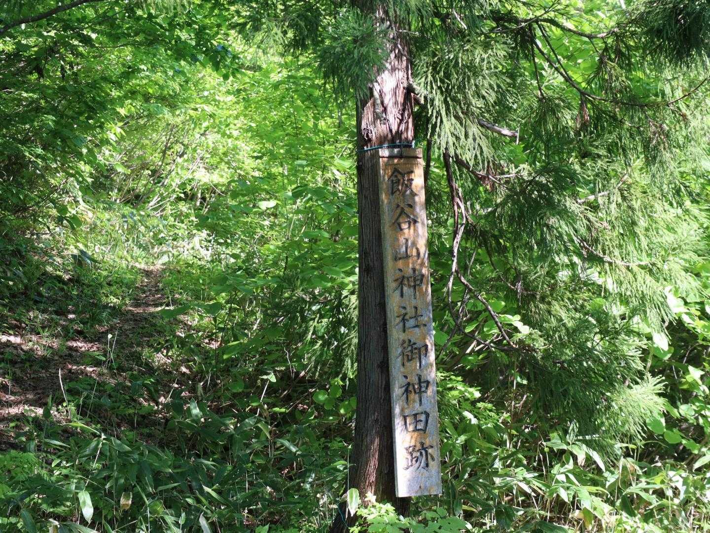 飯谷山 周回コースの写真