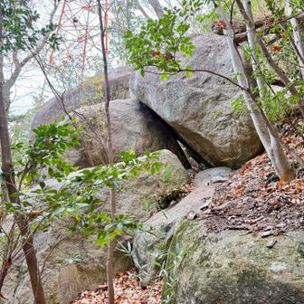 ここを潜るには成長し過ぎた（お腹）