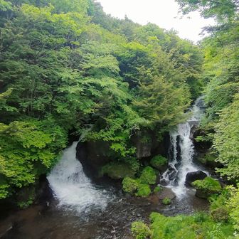 竜頭の滝