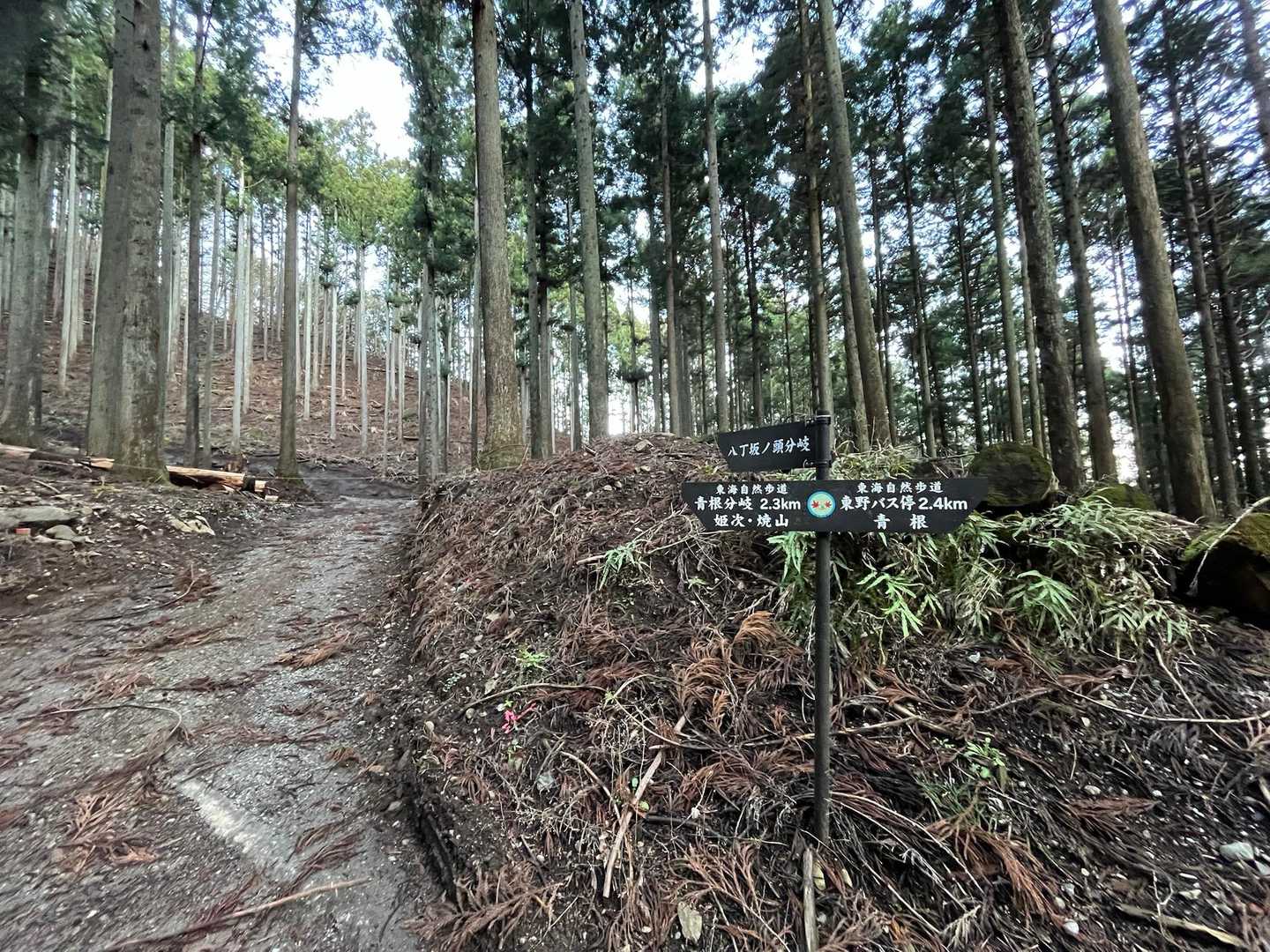 今日は登り八丁坂から行きますね。💪