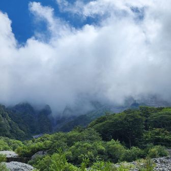 谷川からの景色