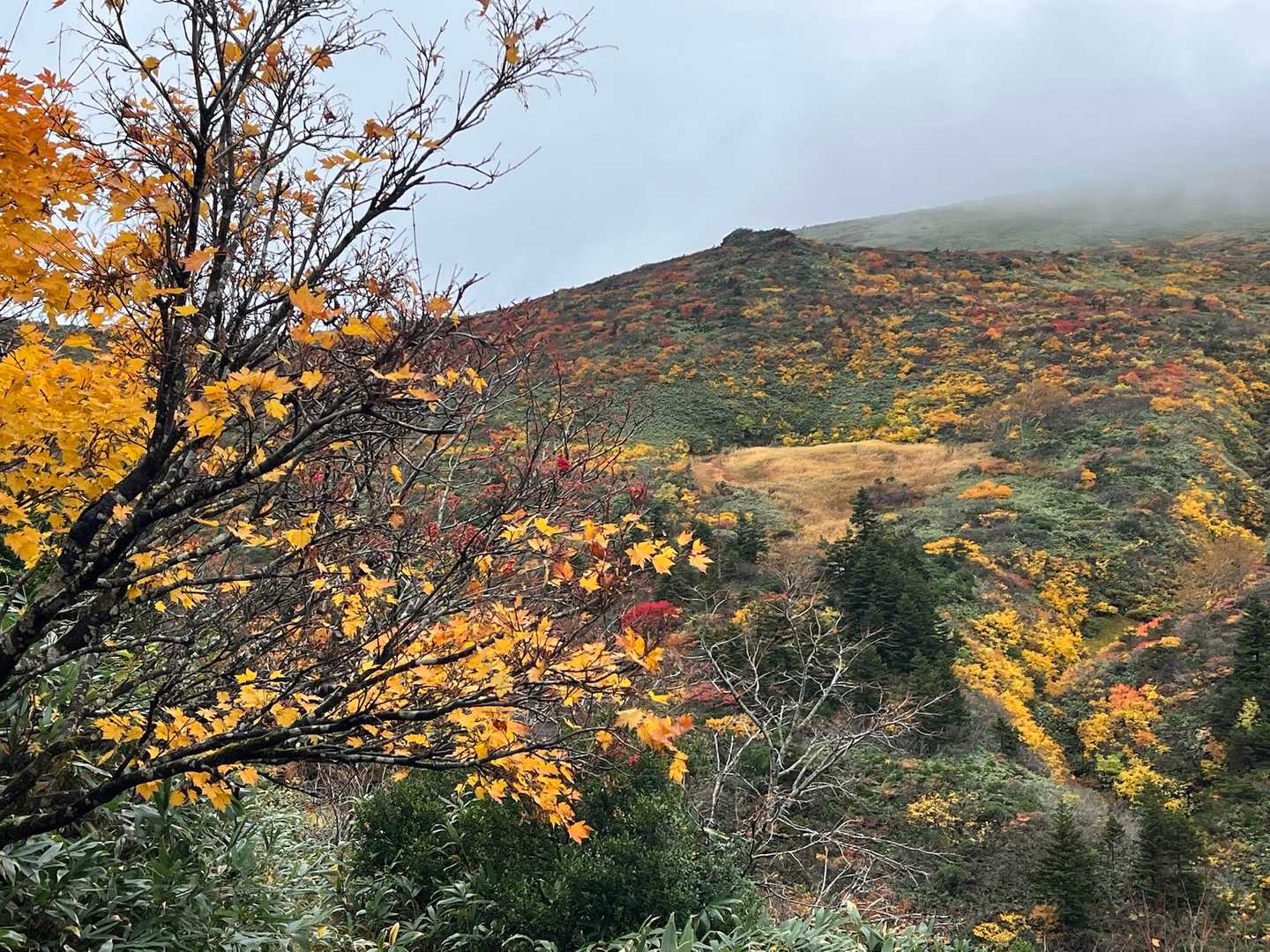 山容が美しい😍ザ、東北の紅葉🍁ですよね！