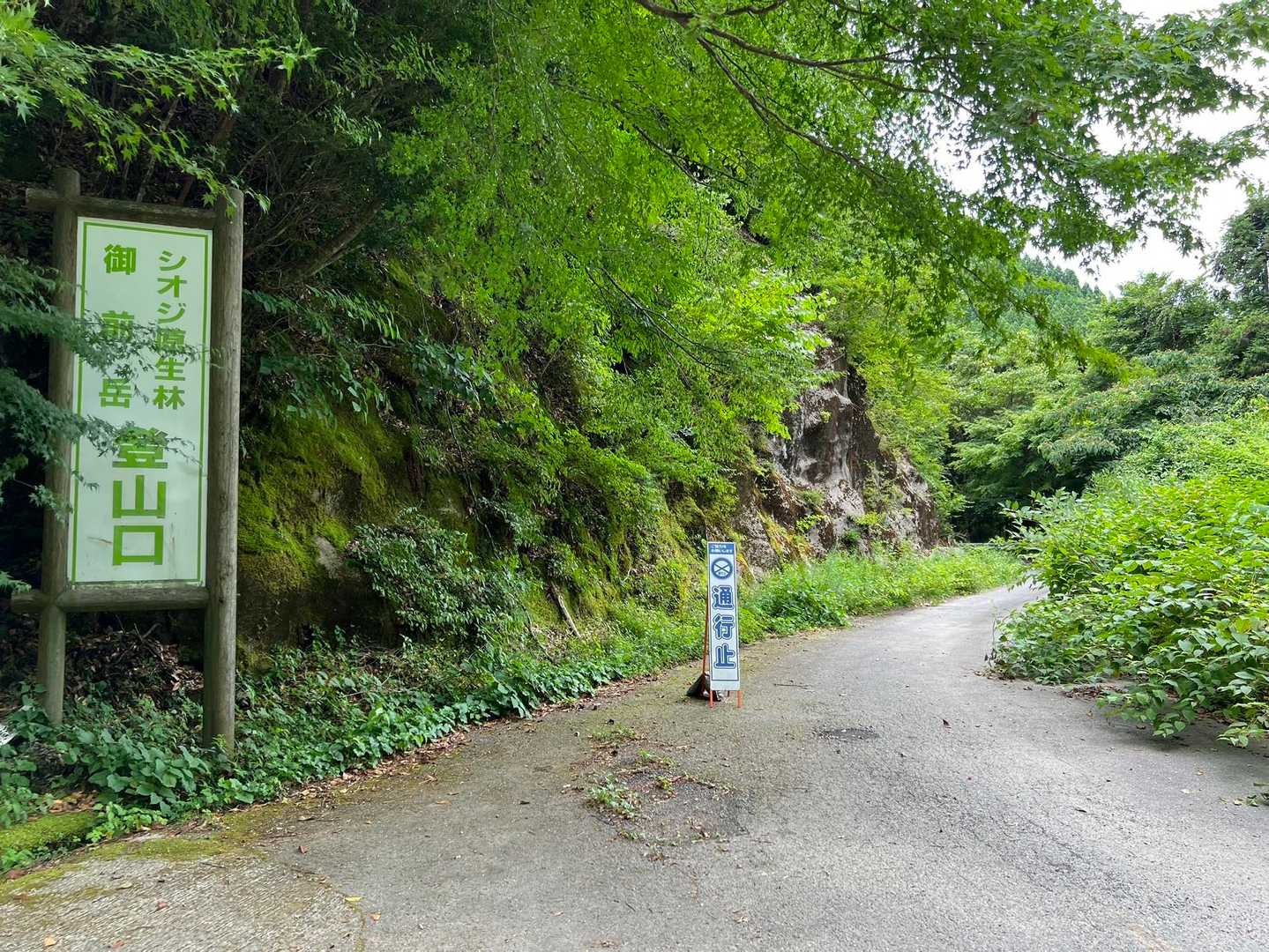 奥の方は去年同様通行止め
