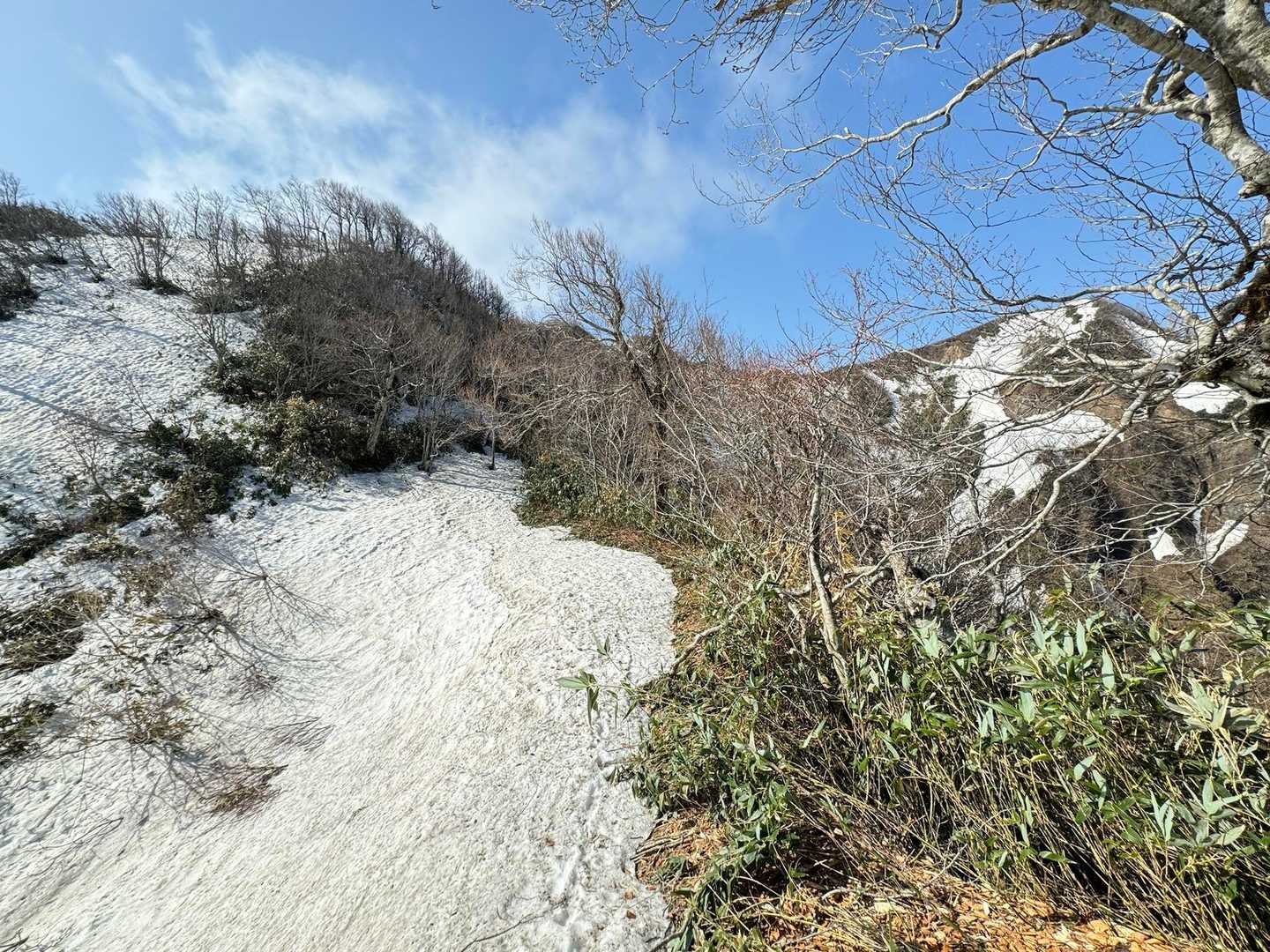 雪少ない時は残雪をうまく利用しつつも基本は夏道を歩いた方が結果的に楽であることを改めて学ぶ🤔