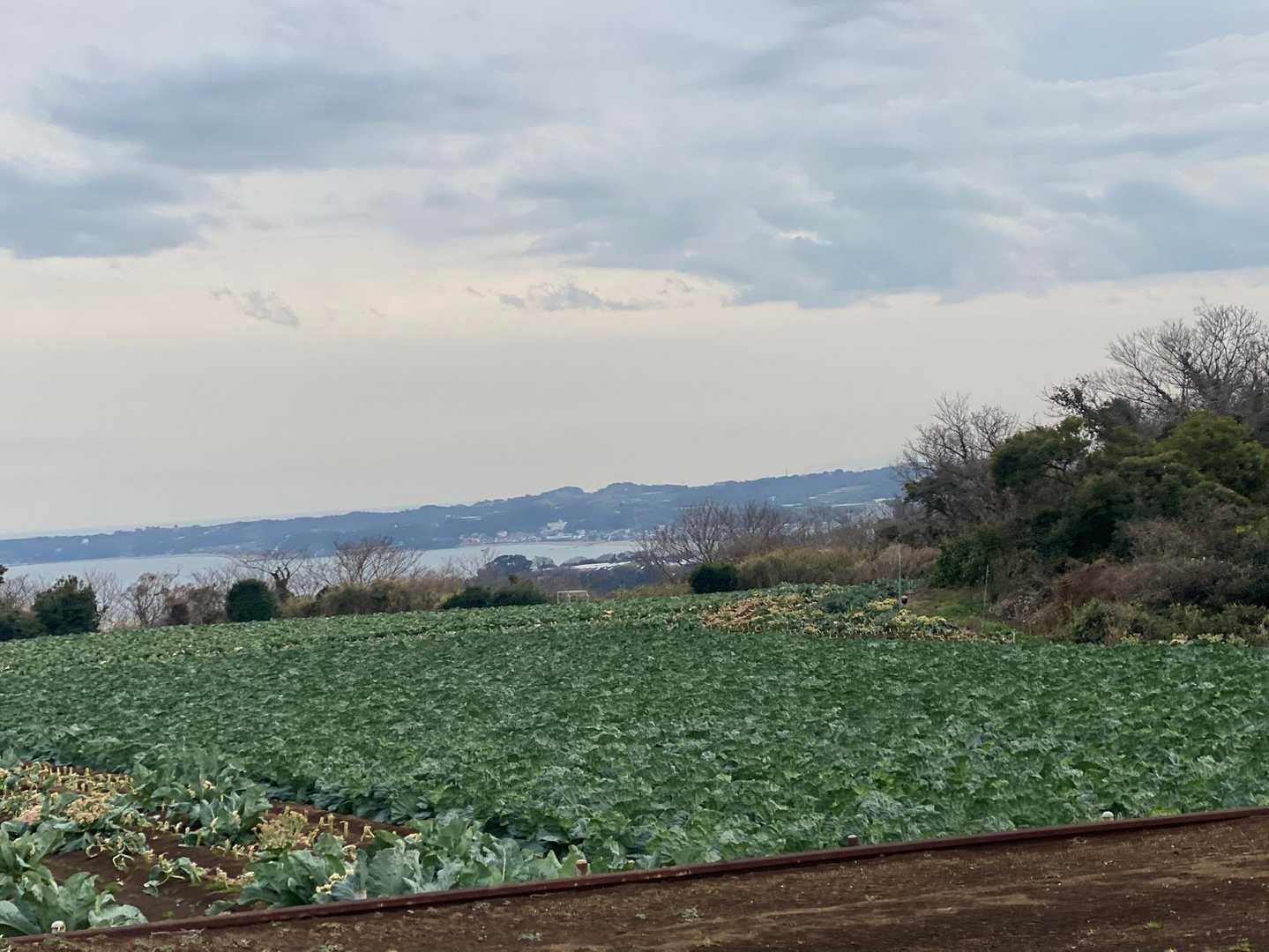 　　　　　　　いい景色