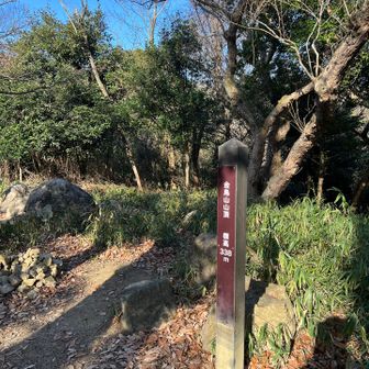 金鳥山
特に見晴らしはないけど、綺麗な山頂標識。