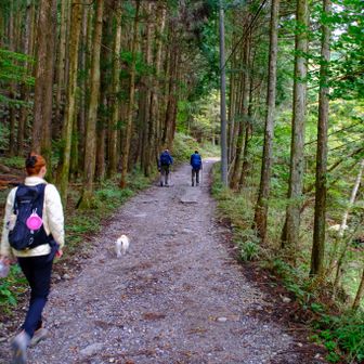 さあ登っていきましょう。
さすが人気の山ですね、たくさんのハイカーさんで賑わってました。