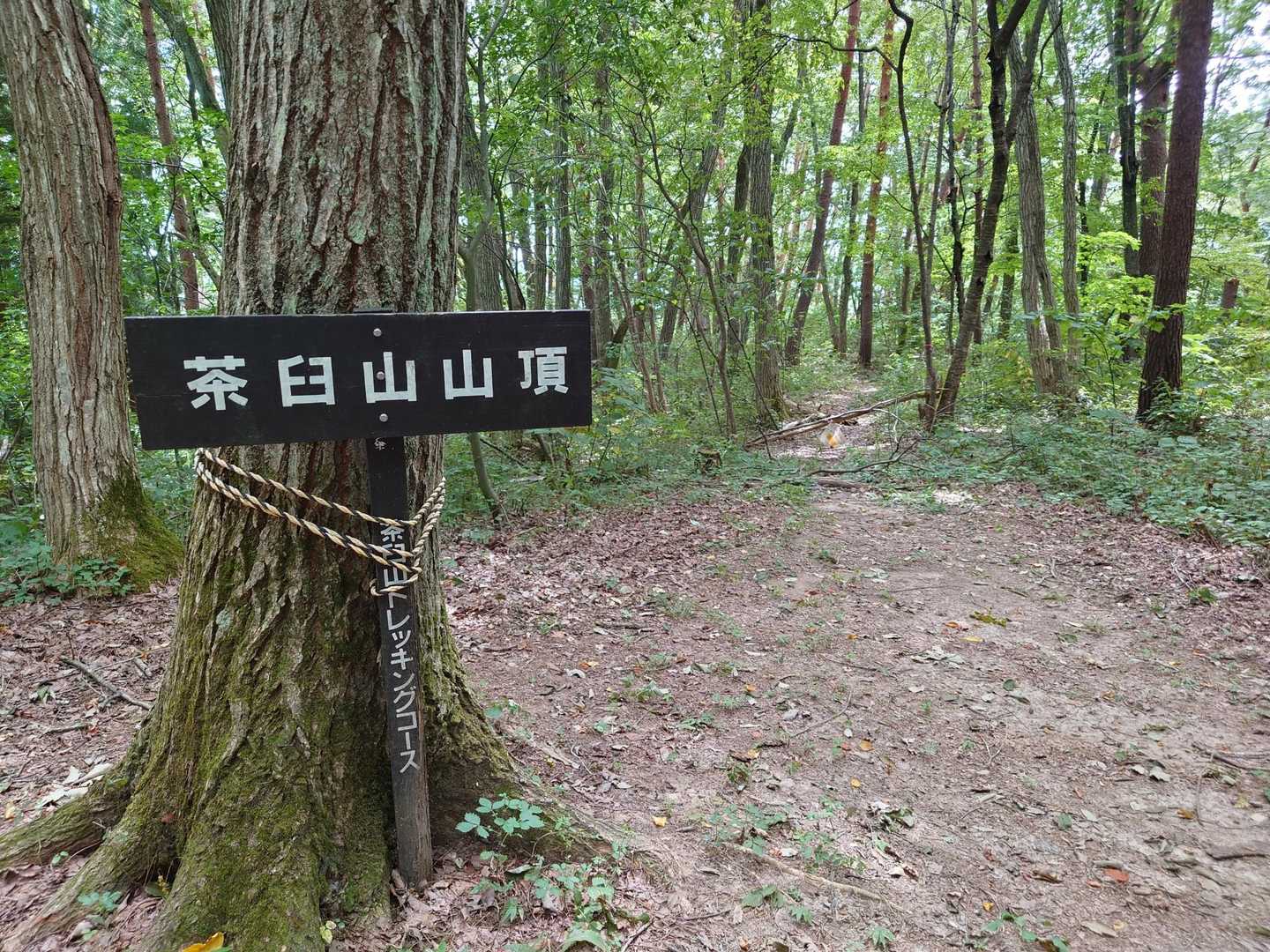 茶臼山　山頂