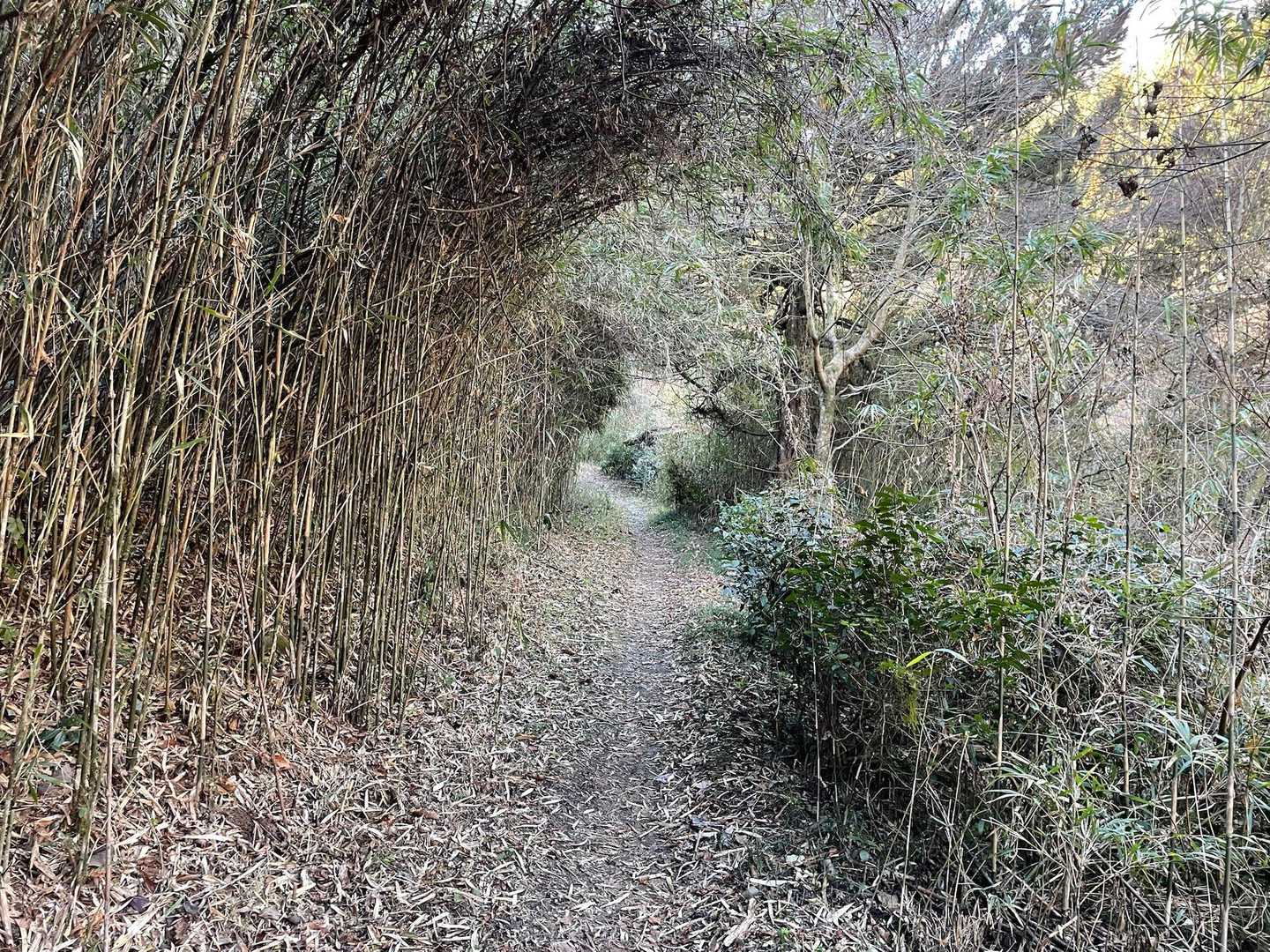 これから登ります。